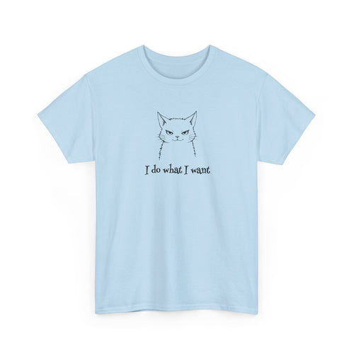 drawing of a cat with a stern look and the text 'I do what I want'