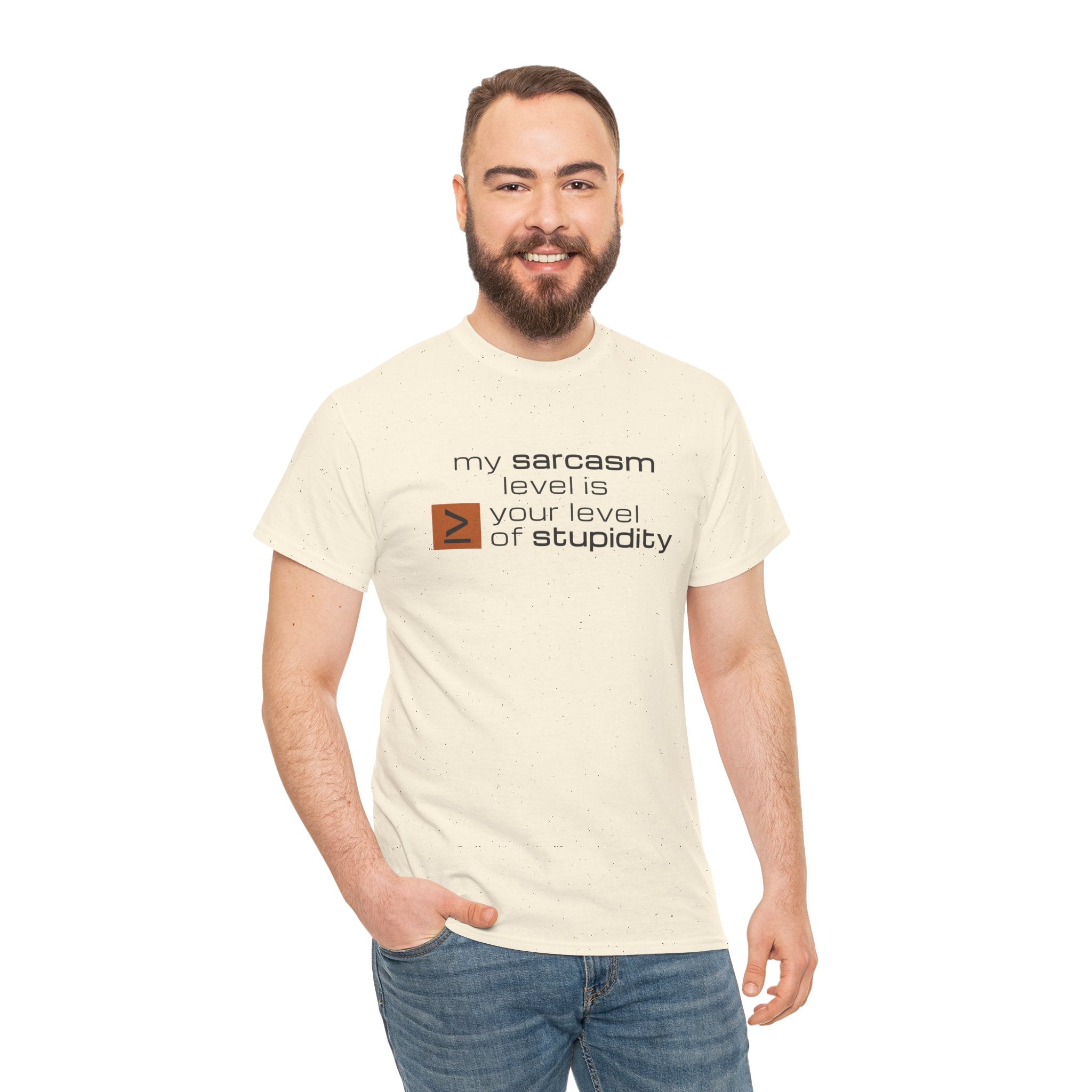 Sarcastic Humor T‑Shirt - My Sarcasm Level Is Greater Than Equal To Your Level of Stupidity