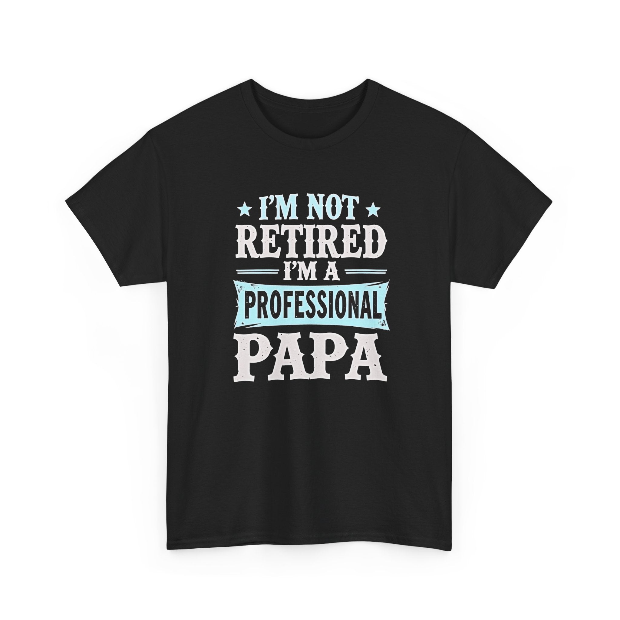 I'm Not Retired I'm A Professional Papa T-Shirt