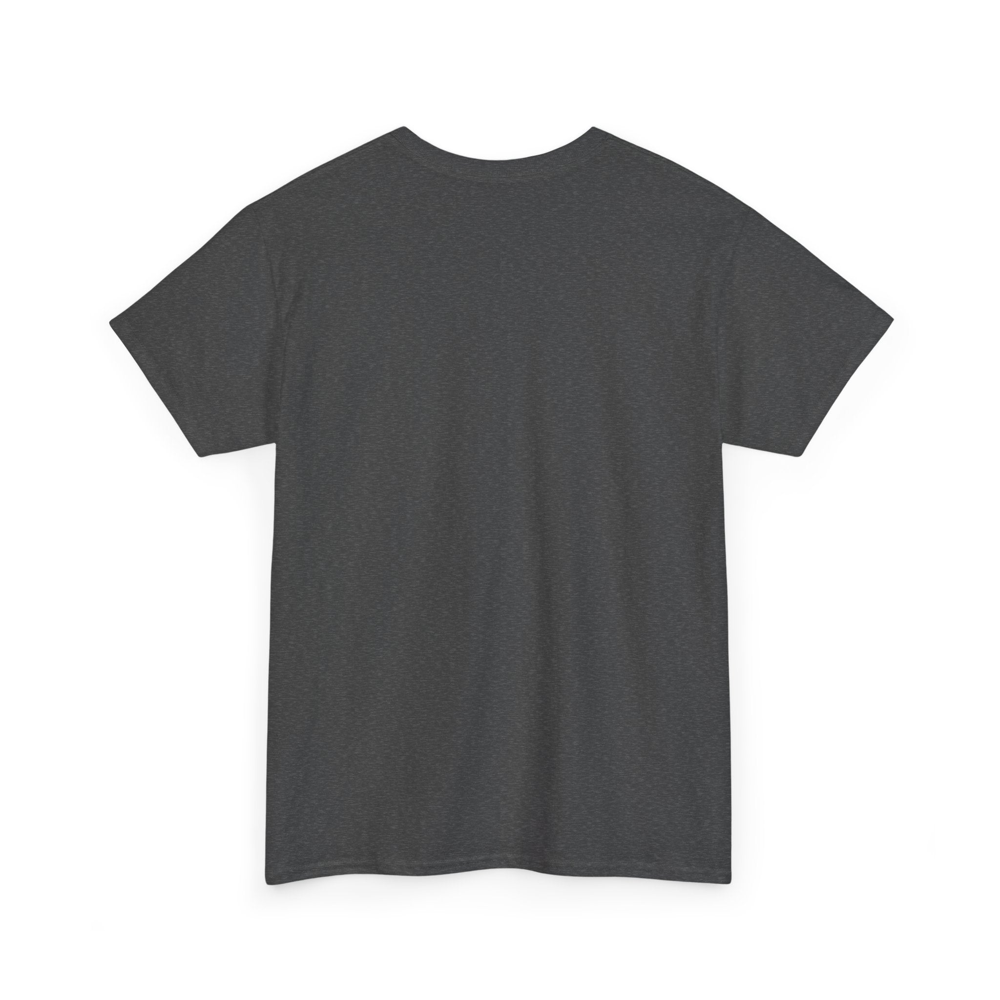 Slow Down Turtle Sloth & Snail V-Neck Tee — "Enjoy Life a Little" Relaxed Graphic Shirt