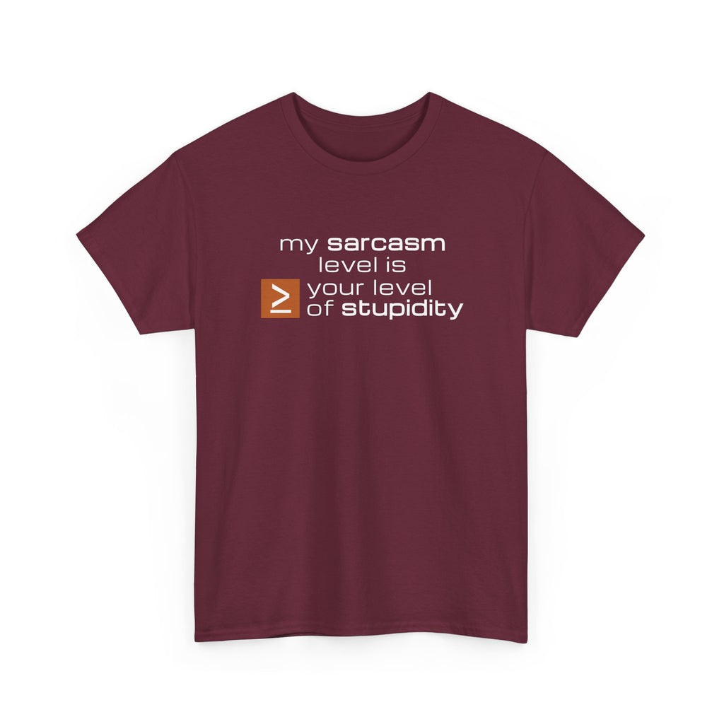 Sarcastic Humor T‑Shirt - My Sarcasm Level Is Greater Than Equal To Your Level of Stupidity