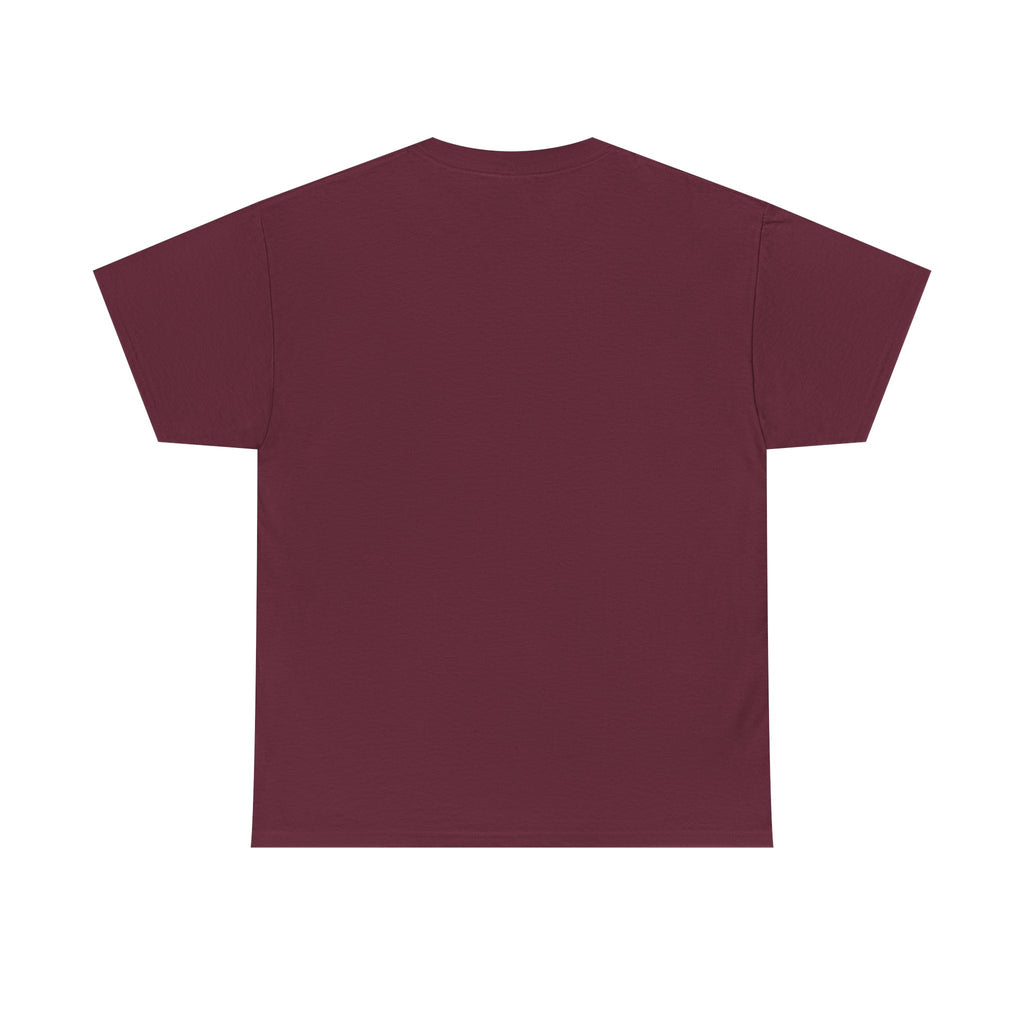 Slow Down Turtle Sloth & Snail V-Neck Tee — "Enjoy Life a Little" Relaxed Graphic Shirt