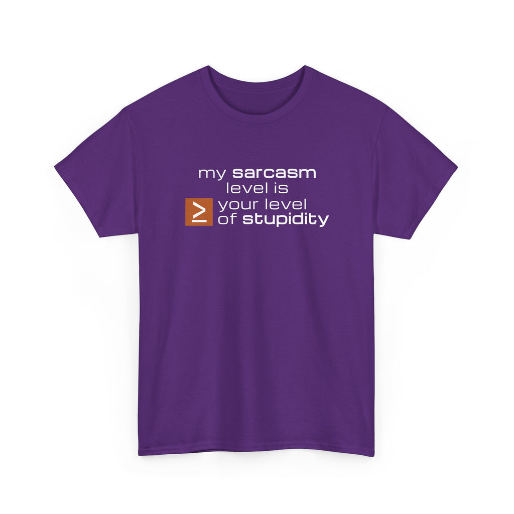 Sarcastic Humor T‑Shirt - My Sarcasm Level Is Greater Than Equal To Your Level of Stupidity