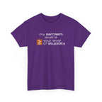 Sarcastic Humor T‑Shirt - My Sarcasm Level Is Greater Than Equal To Your Level of Stupidity