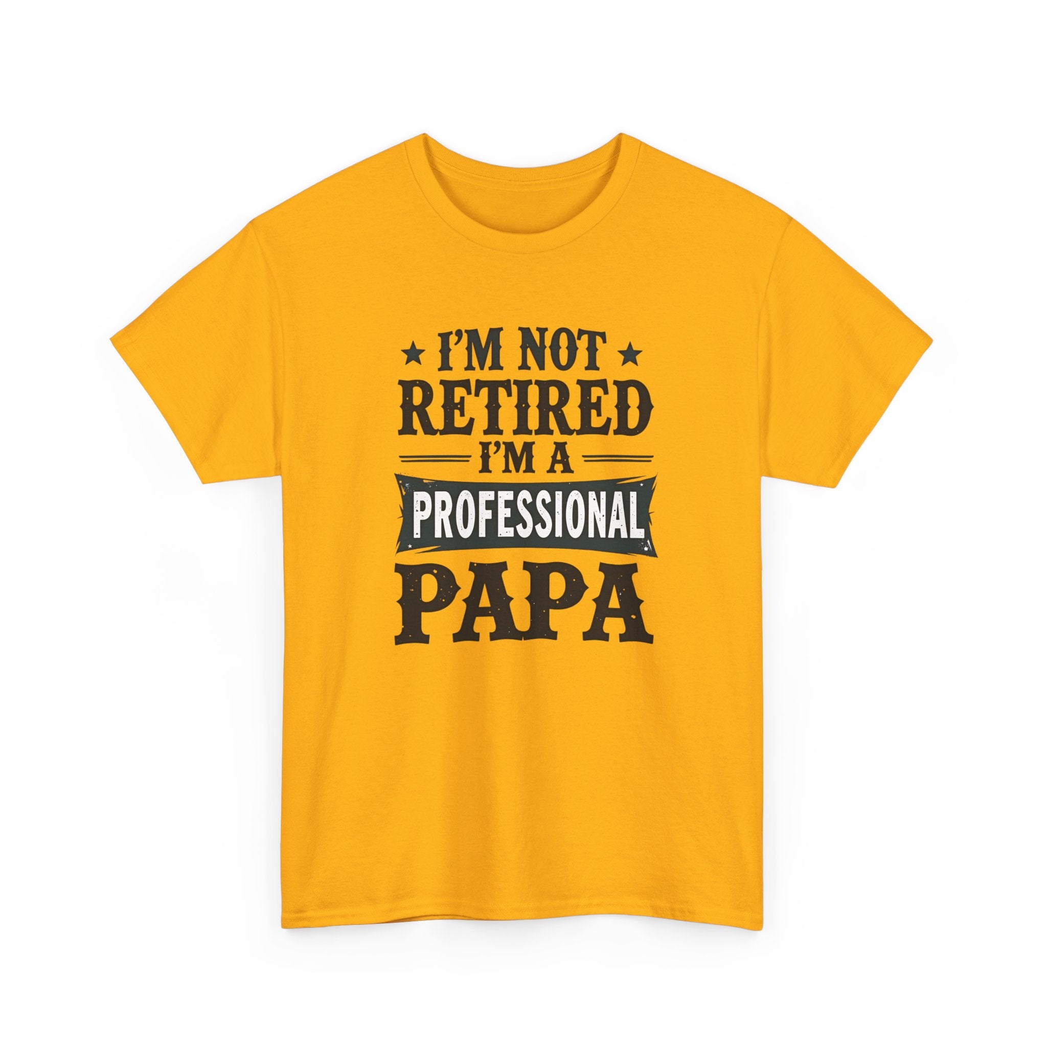 I'm Not Retired I'm A Professional Papa T-Shirt