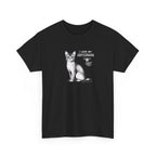 'I love my abyssinian cat'