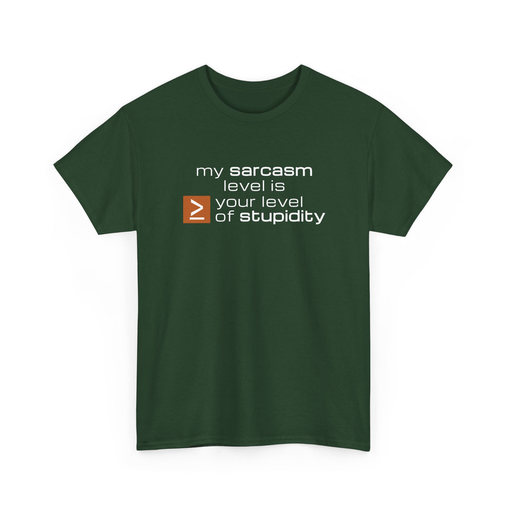 Sarcastic Humor T‑Shirt - My Sarcasm Level Is Greater Than Equal To Your Level of Stupidity