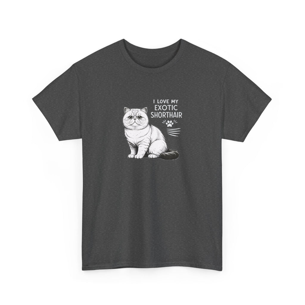 'I love my exotic shorthair cat'