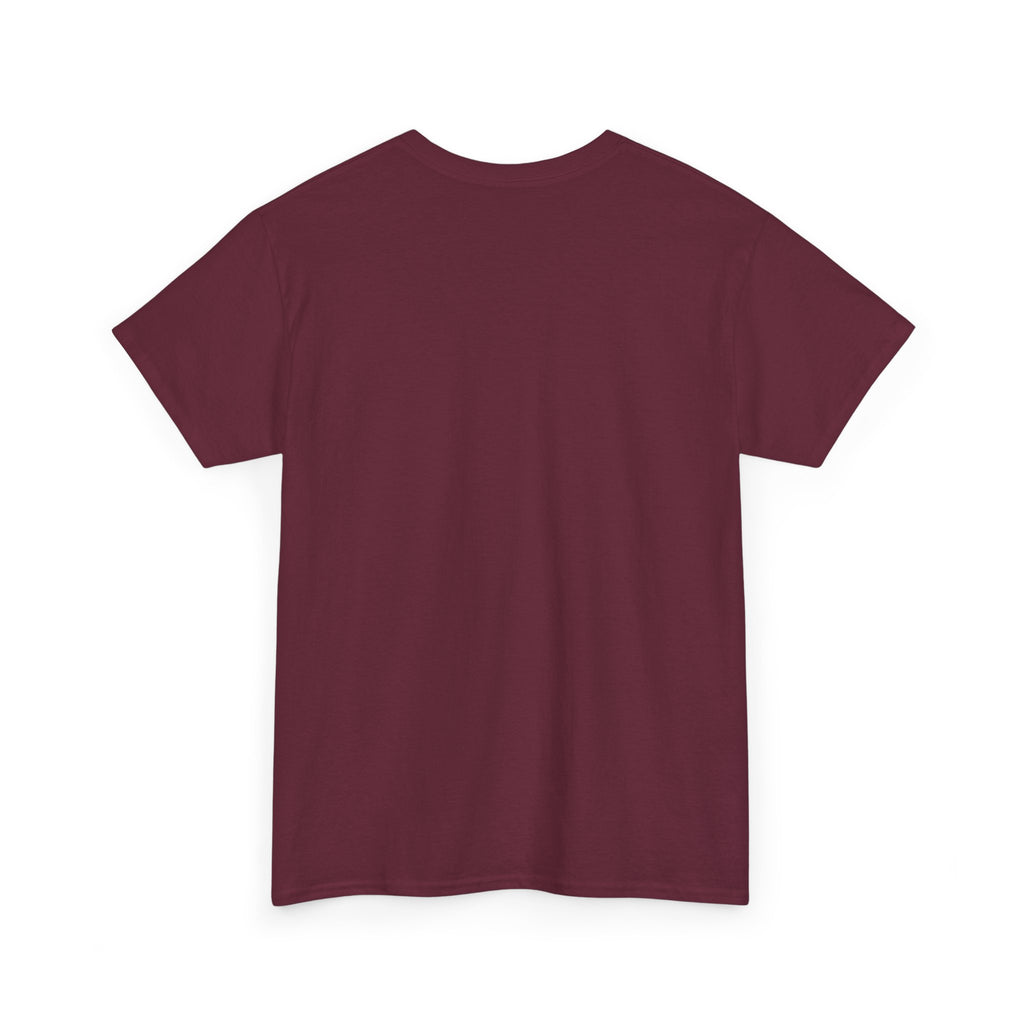 Slow Down Turtle Sloth & Snail V-Neck Tee — "Enjoy Life a Little" Relaxed Graphic Shirt