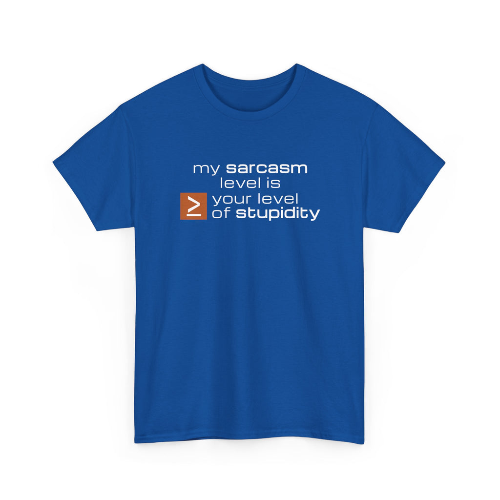 Sarcastic Humor T‑Shirt - My Sarcasm Level Is Greater Than Equal To Your Level of Stupidity
