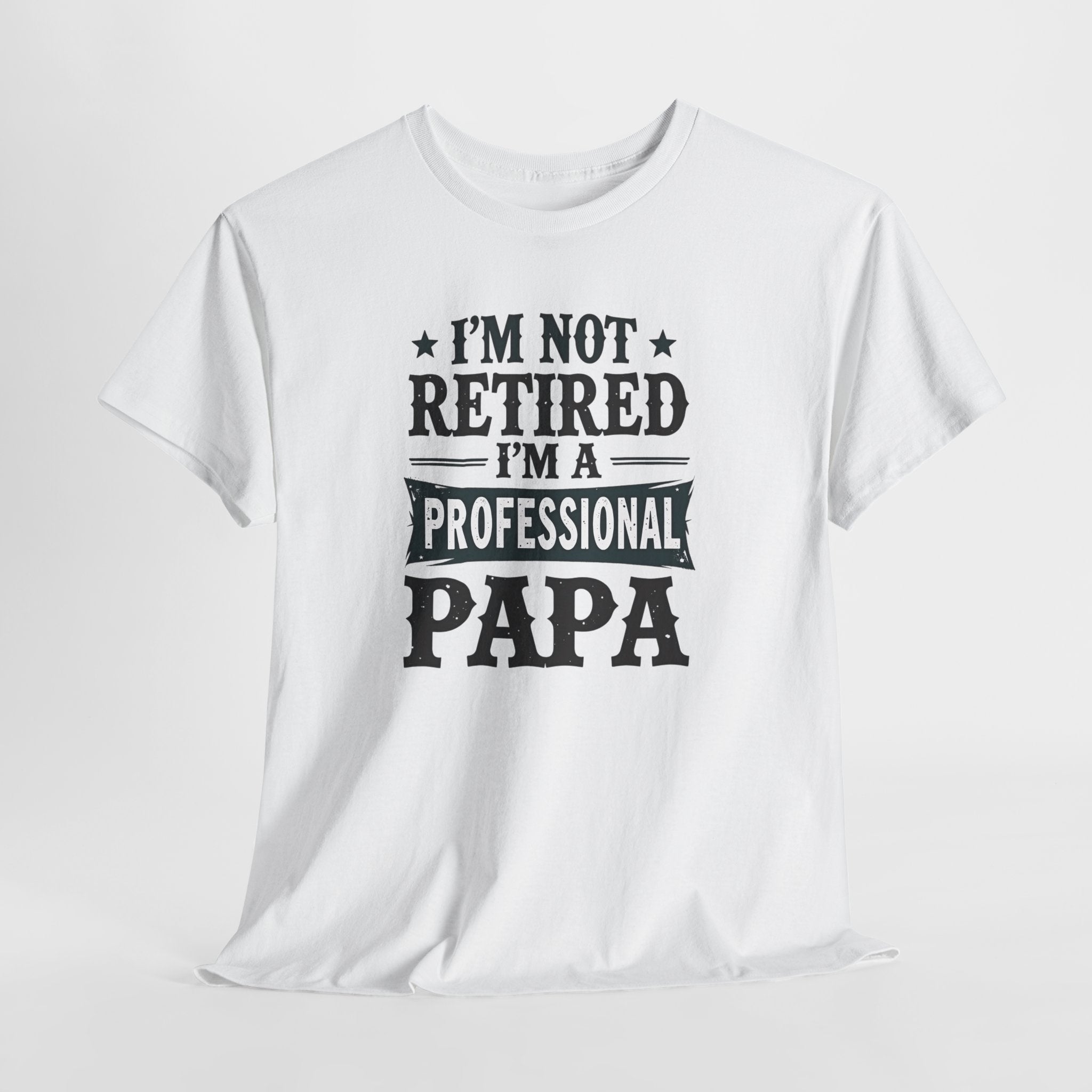 I'm Not Retired I'm A Professional Papa T-Shirt